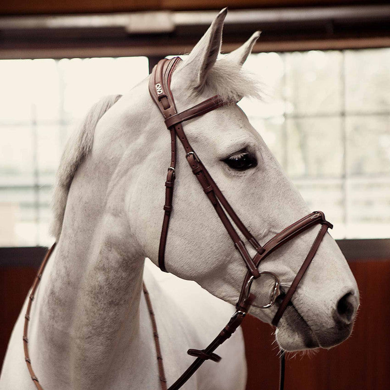CWD Sport Color Anatomic french noseband bridle with stitching