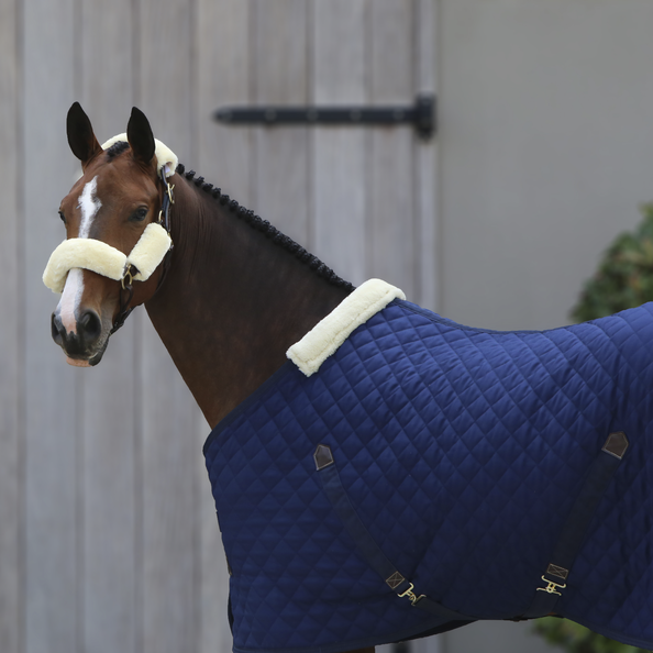 Stable Rug
