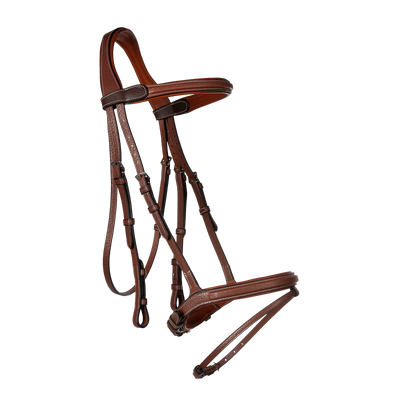 Combined Noseband Sports Bridle