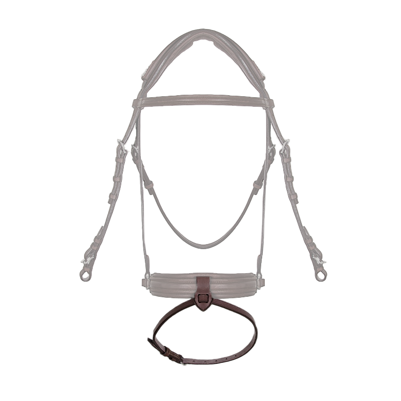 CWD Flash + Attachment