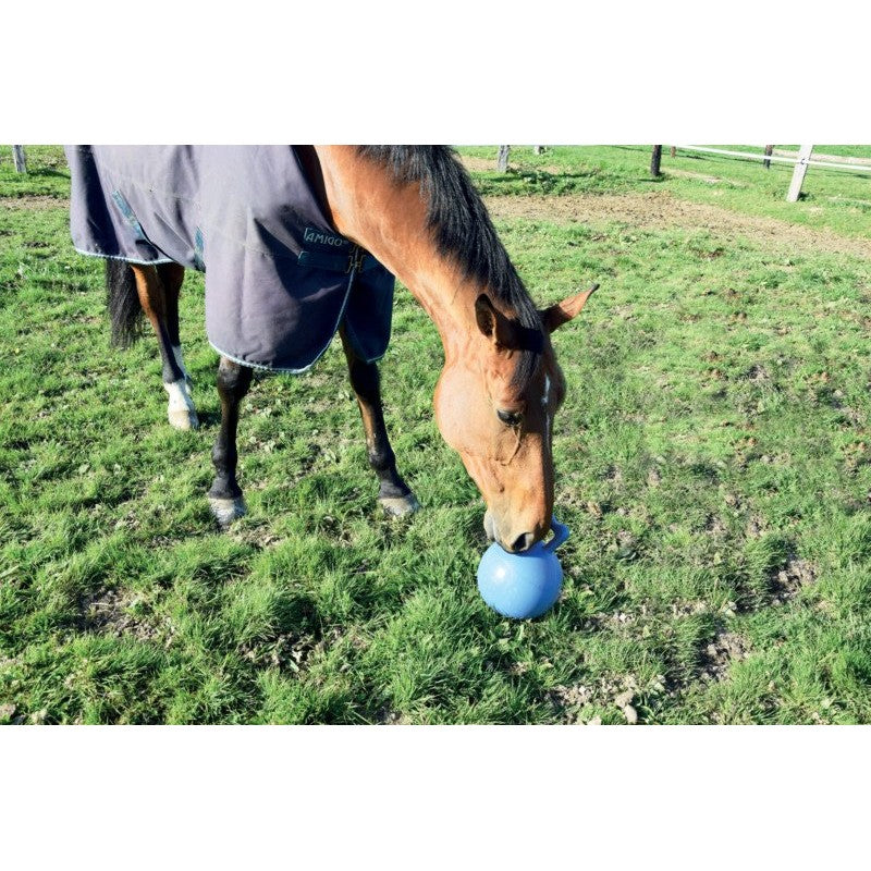 La Gee Fun Ball