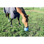 La Gee Fun Ball