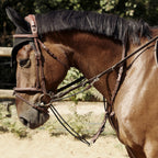 CWD Gogue