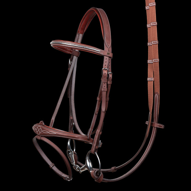 CWD Harrie Smolders bridle + reins. The original bridle