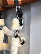 Equijumpltd Teddy Headcollar