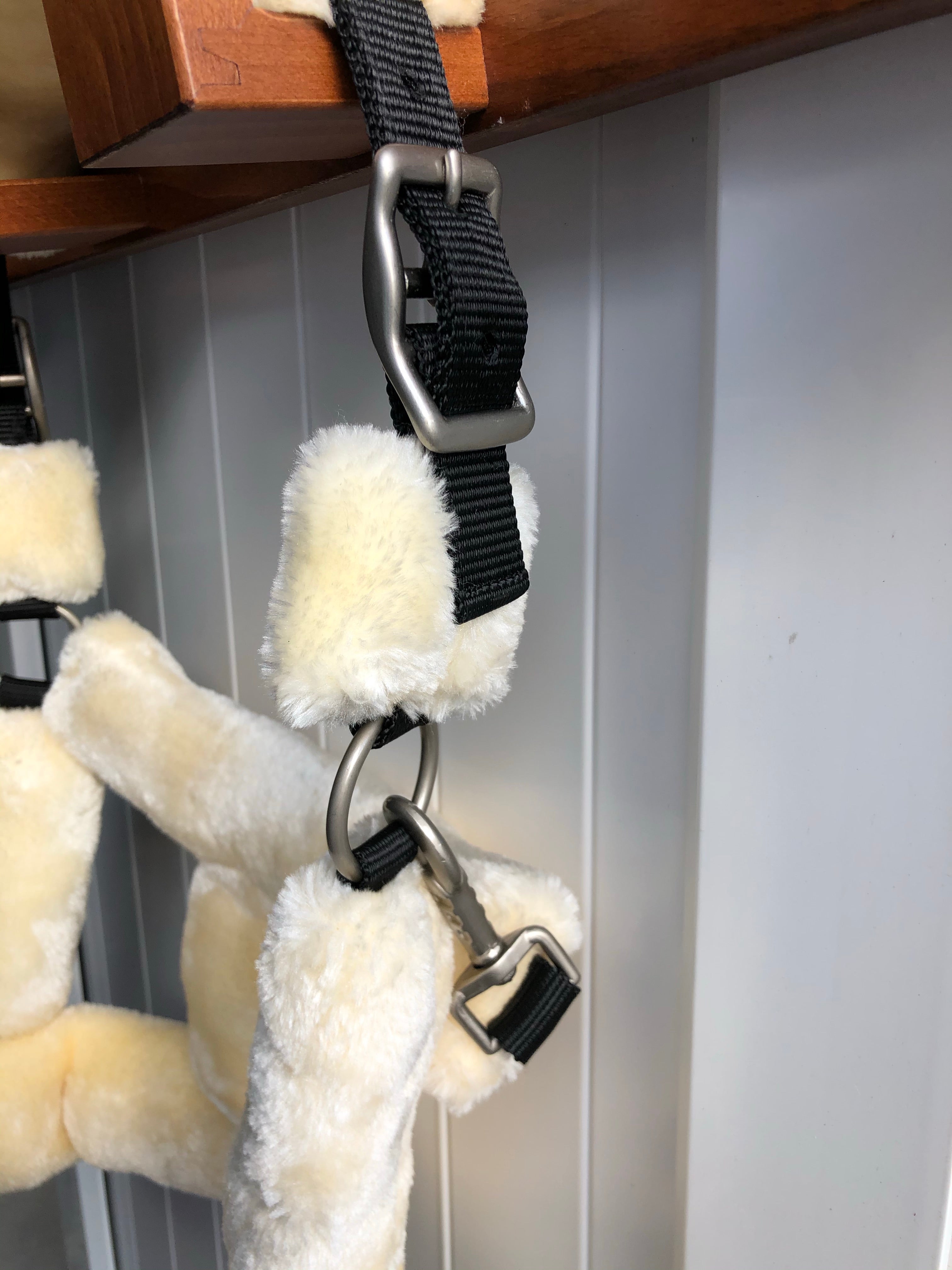 Equijumpltd Teddy Headcollar
