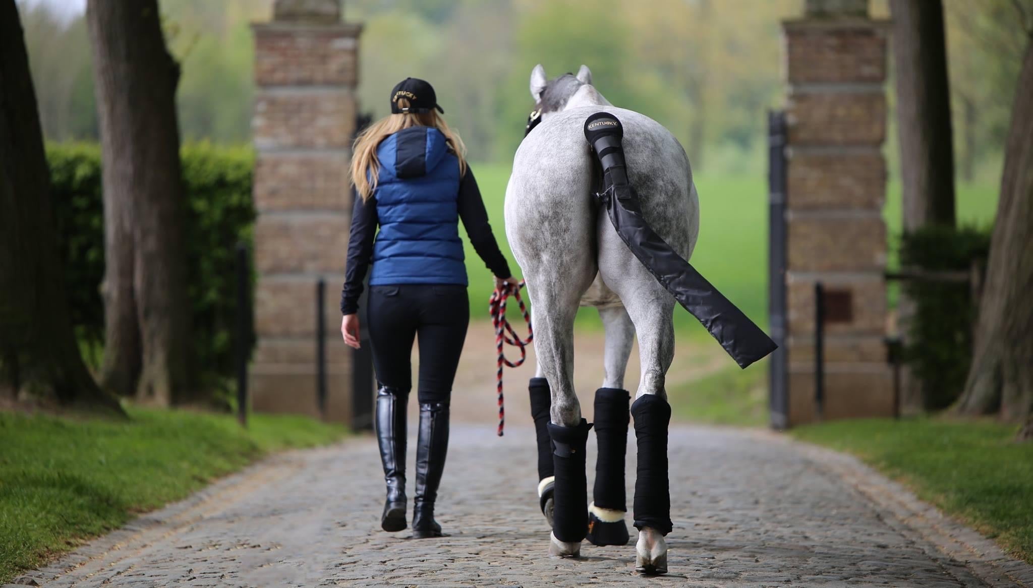 Kentucky Horsewear Tailguard / Tailbag