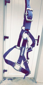 Equijump LTD Equijump Headcollar
