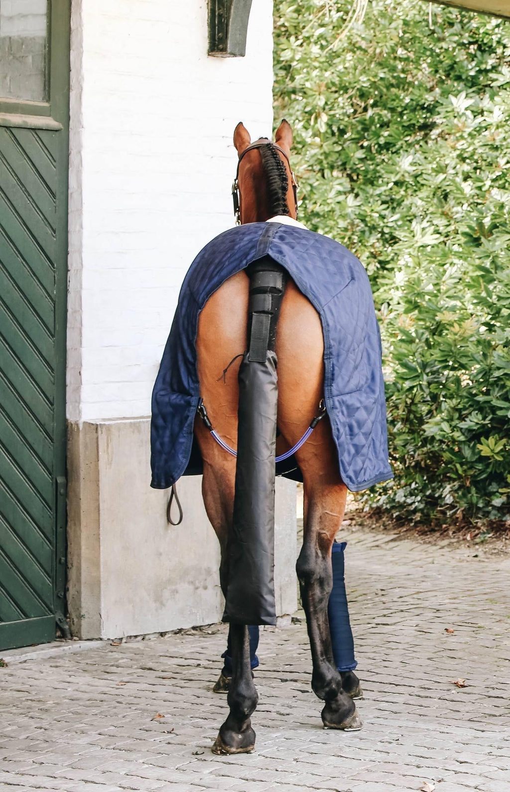 Kentucky Horsewear Tailguard / Tailbag