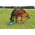 La Gee Mare & Foal Feeder