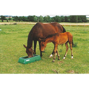 Mare & foal feeder