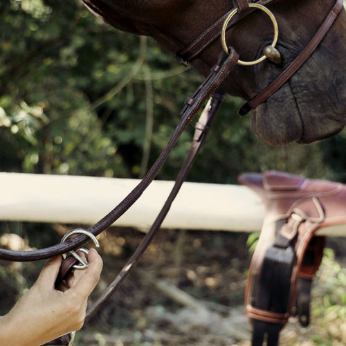 CWD Bib Martingale Attachment