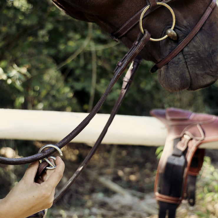 Raised running martingale with fancy stitching