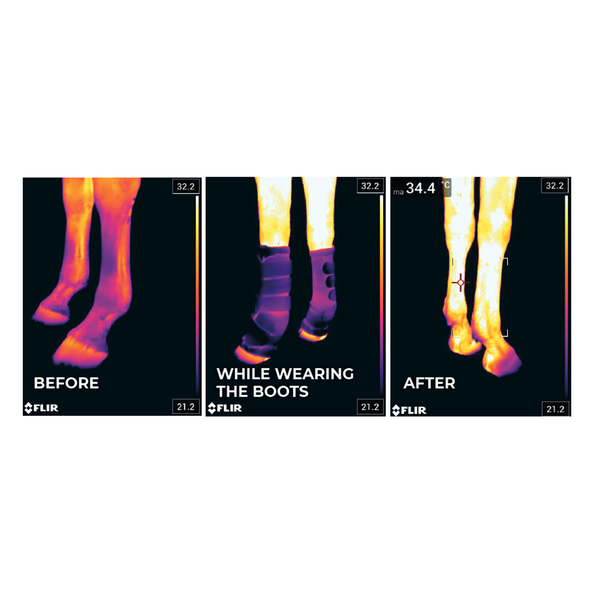 MAGNETIC STABLE BOOTS RECUPTEX