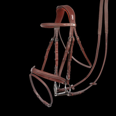 CWD Scott Brash bridle + reins. The perfectionist